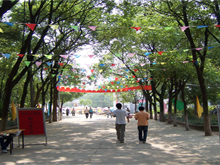 系部剪影