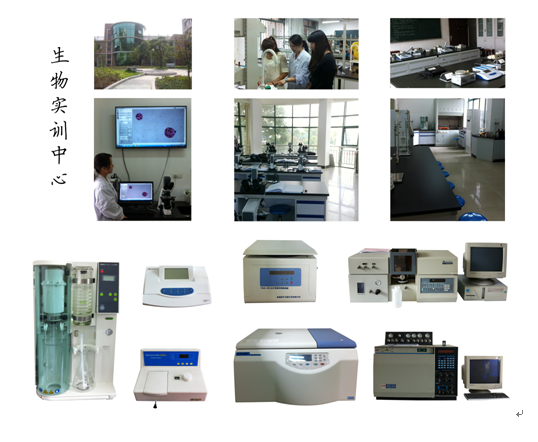 http://qh.hbliti.com/__local/A/FC/5C/DDC49F13E081A1B752024BA06CD_07F06038_30BC3.png?e=.png